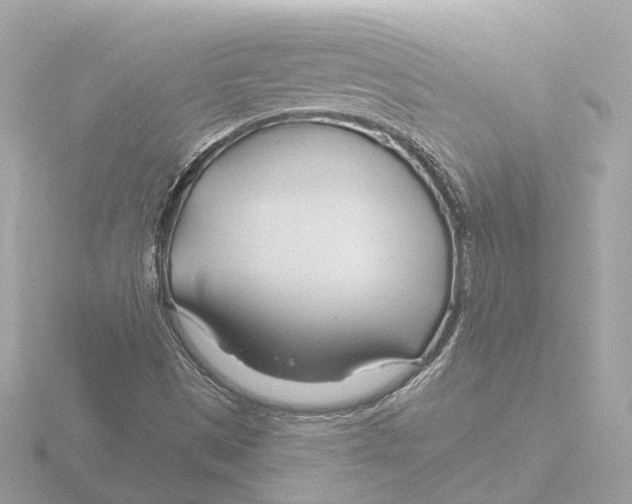 X0000116161497200912211518