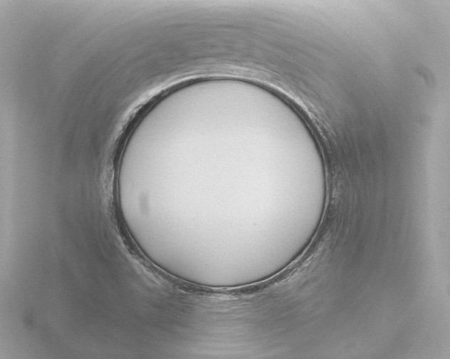 X0000116161507200912211518