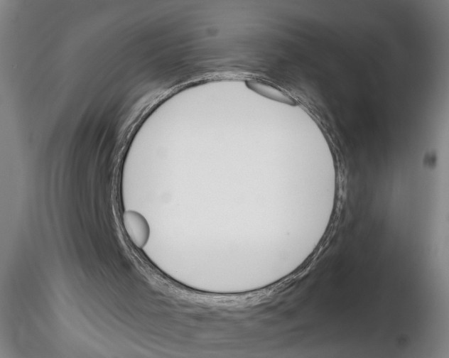 X0000116160001201001041124