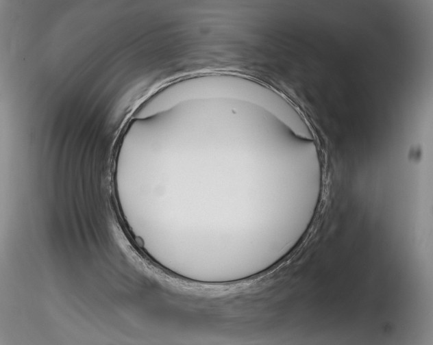 X0000116160002201001041124