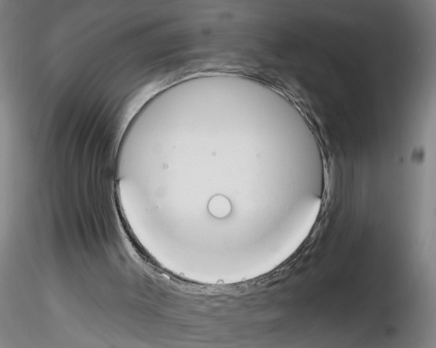 X0000116160003201001041124