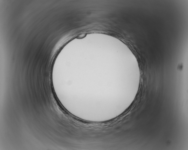 X0000116160004201001041124