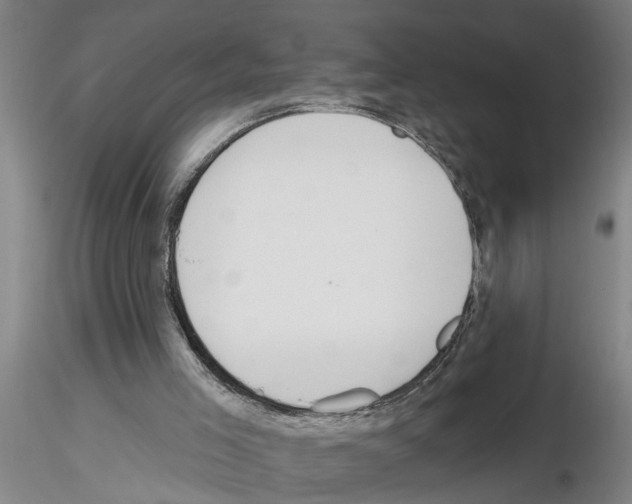 X0000116160005201001041124