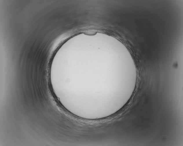 X0000116160006201001041124