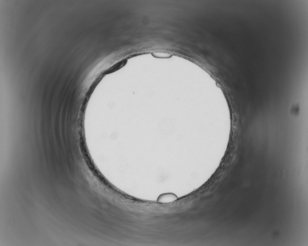 X0000116160007201001041124