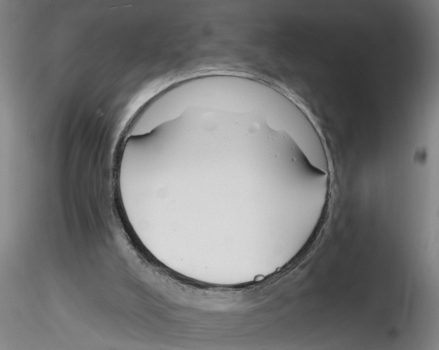 X0000116160008201001041124