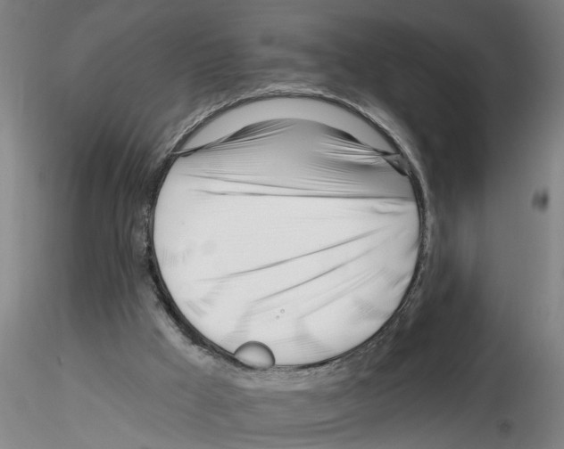 X0000116160009201001041124