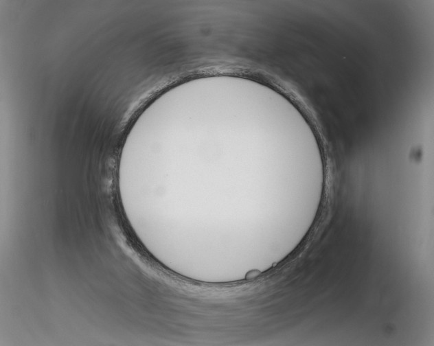 X0000116160010201001041124