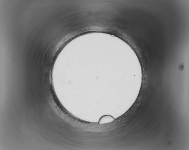 X0000116160011201001041124