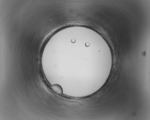 X0000116160012201001041124