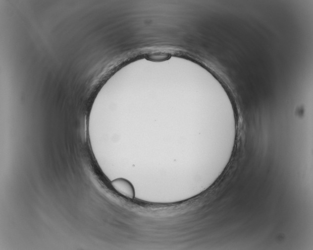 X0000116160013201001041124