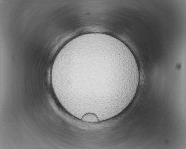 X0000116160014201001041124