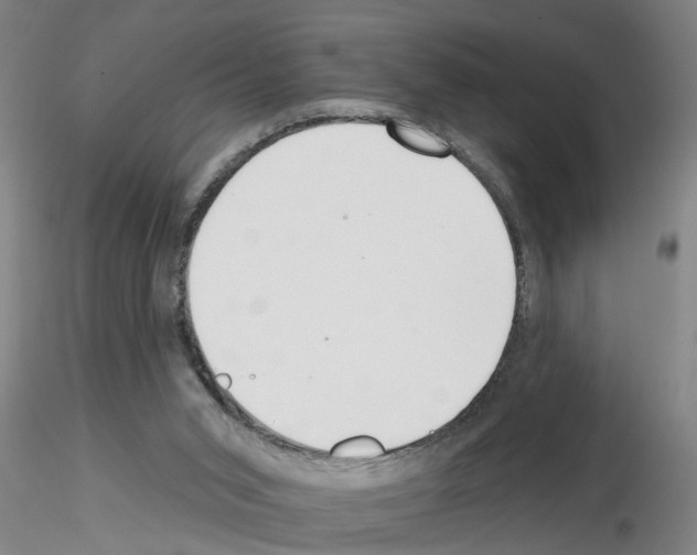 X0000116160015201001041124
