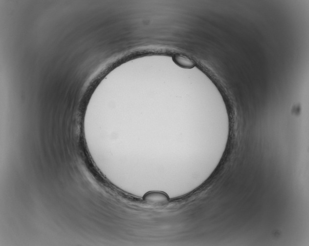 X0000116160016201001041124