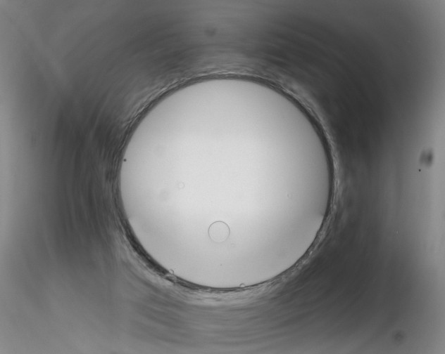 X0000116160017201001041124