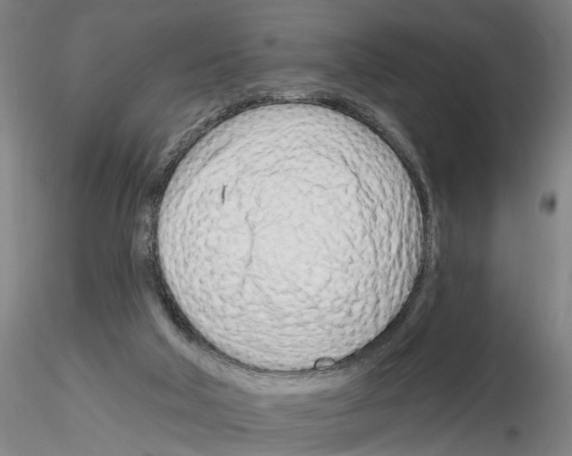 X0000116160018201001041124