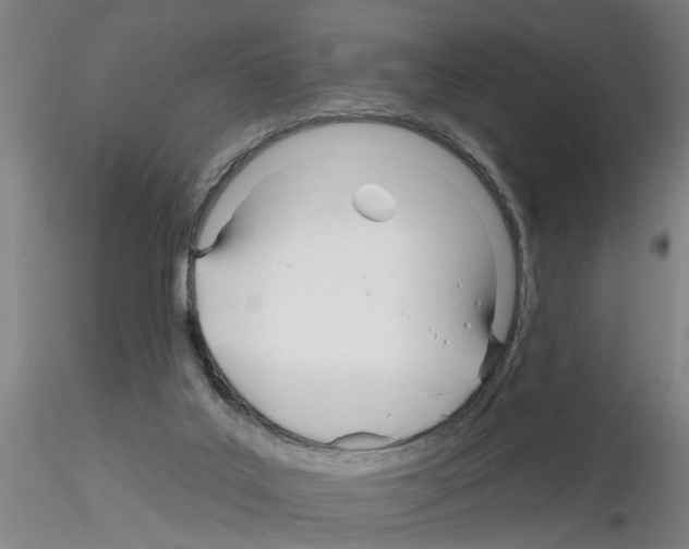 X0000116160019201001041124