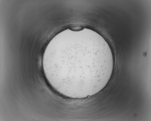 X0000116160021201001041124