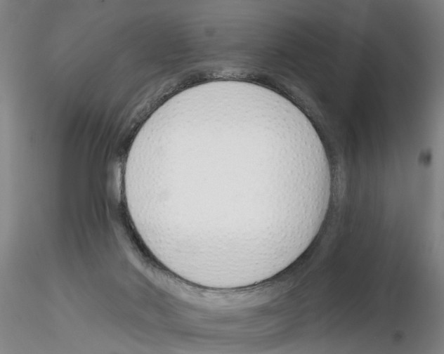 X0000116160022201001041124