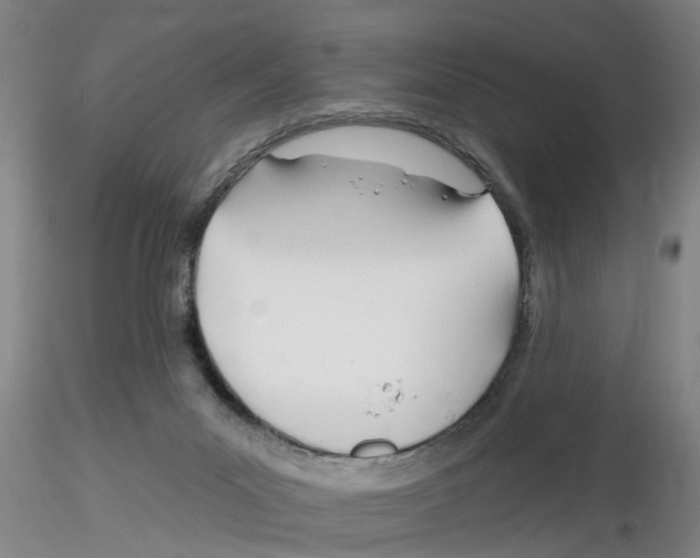 X0000116160023201001041124