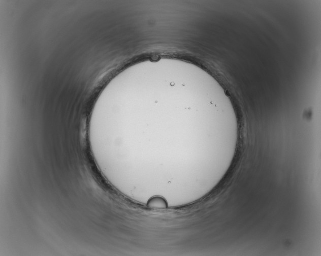 X0000116160024201001041124