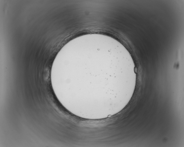 X0000116160025201001041123