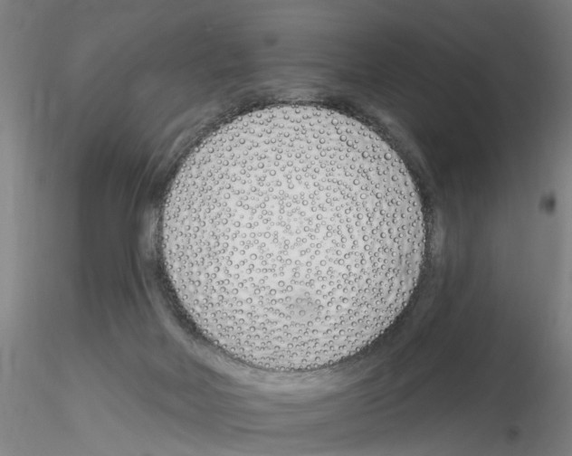 X0000116160026201001041123