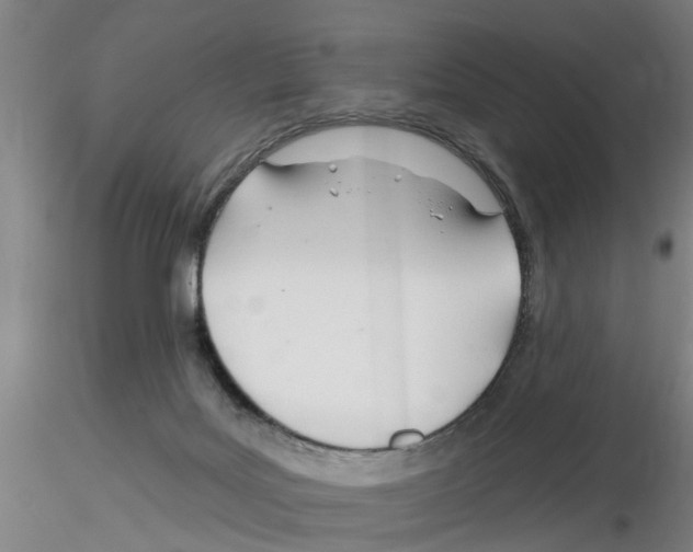 X0000116160027201001041123