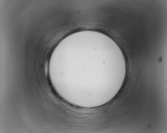 X0000116160028201001041123