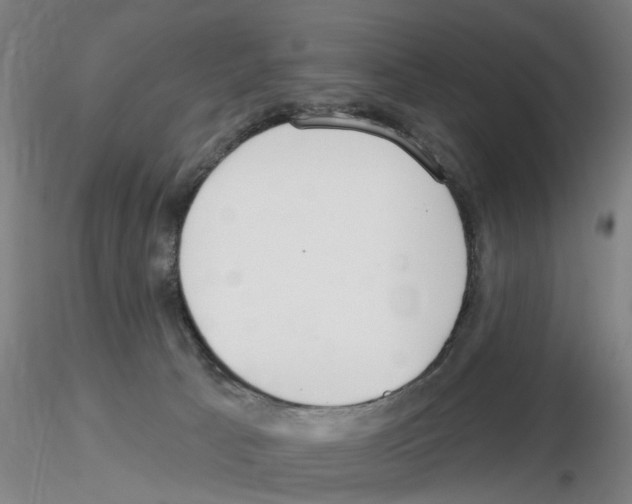 X0000116160033201001041123
