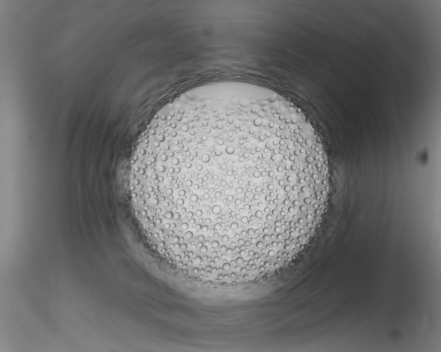 X0000116160034201001041123