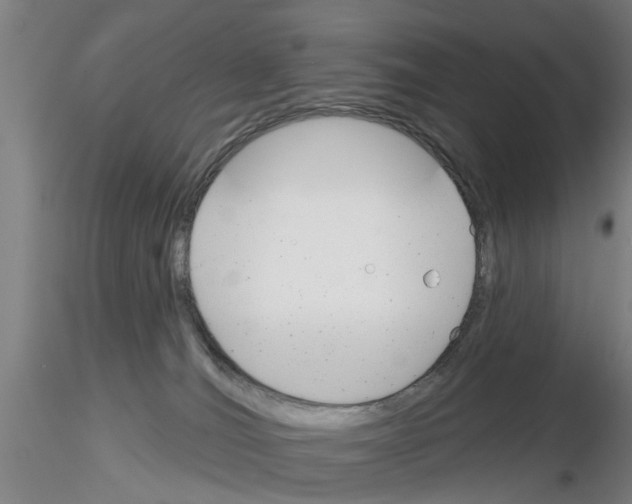 X0000116160036201001041123