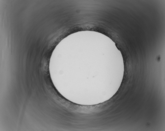 X0000116160037201001041123
