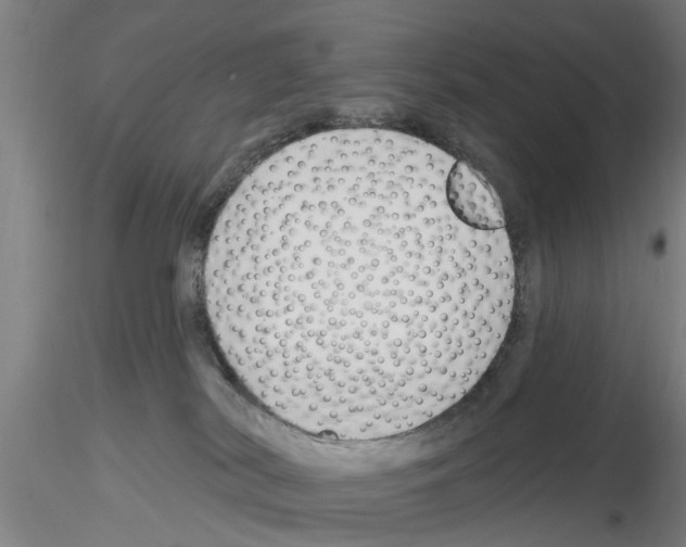 X0000116160038201001041123