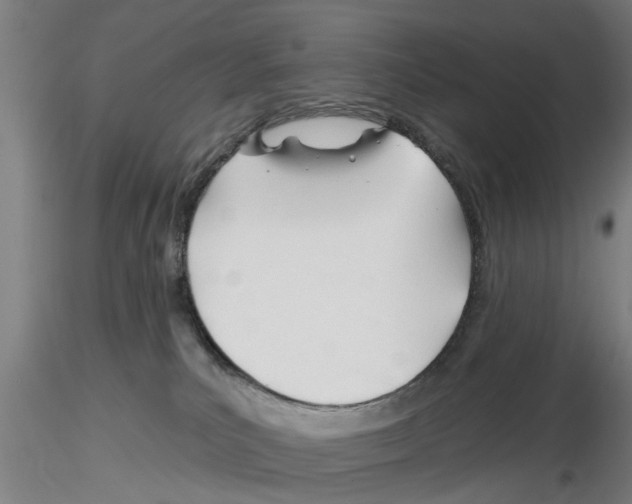 X0000116160039201001041123