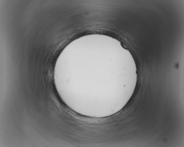 X0000116160040201001041123