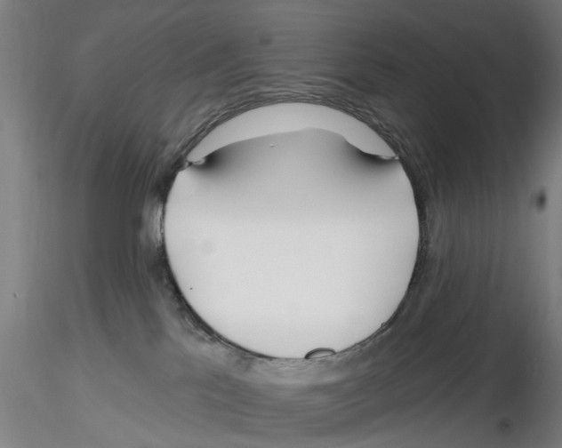 X0000116160041201001041123
