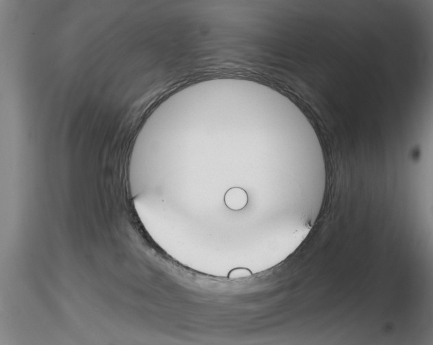 X0000116160043201001041123