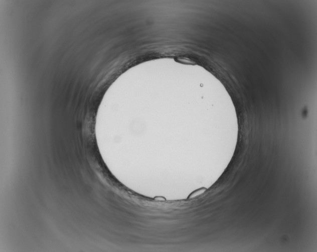 X0000116160044201001041123