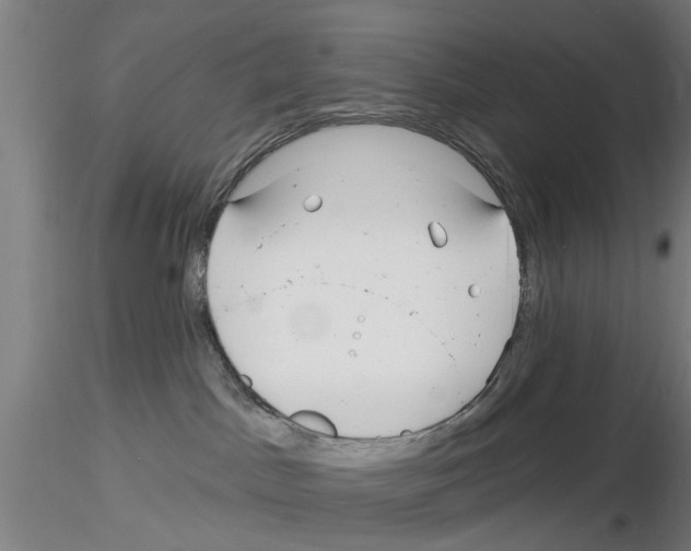 X0000116160045201001041123