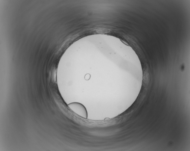 X0000116160046201001041123