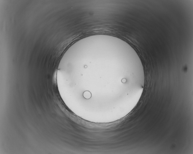 X0000116160047201001041123