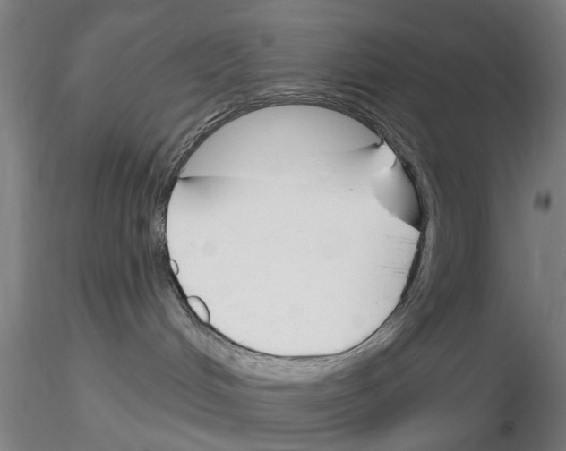 X0000116160048201001041123