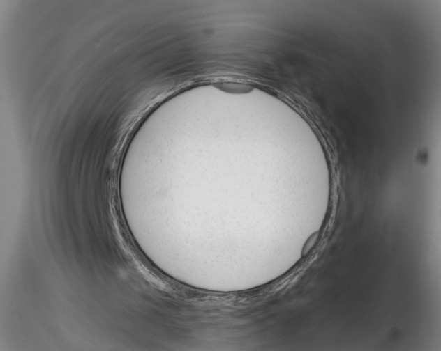 X0000116160049201001041123