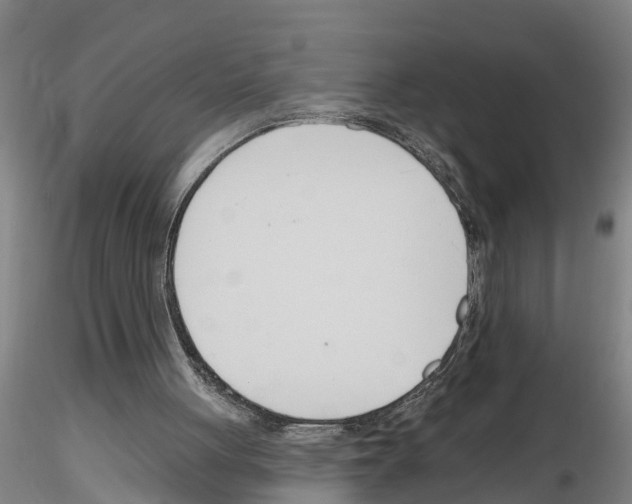 X0000116160051201001041123