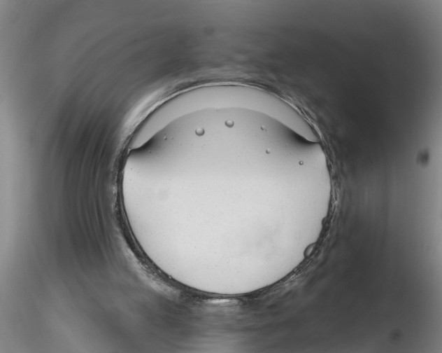 X0000116160053201001041123