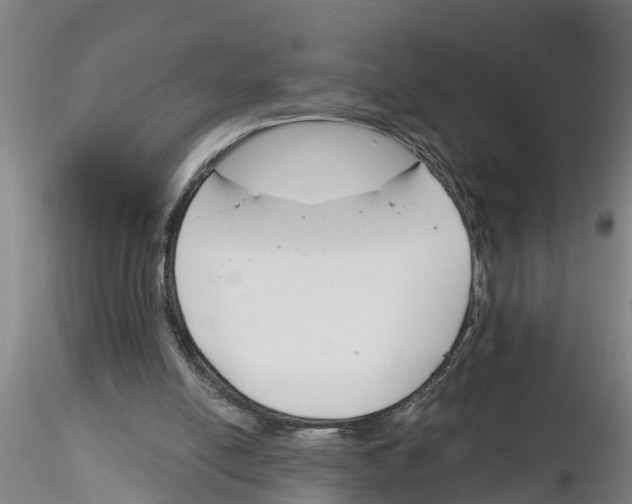 X0000116160054201001041123