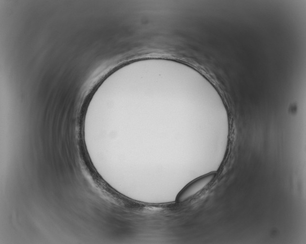 X0000116160055201001041123