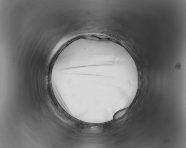 X0000116160056201001041123