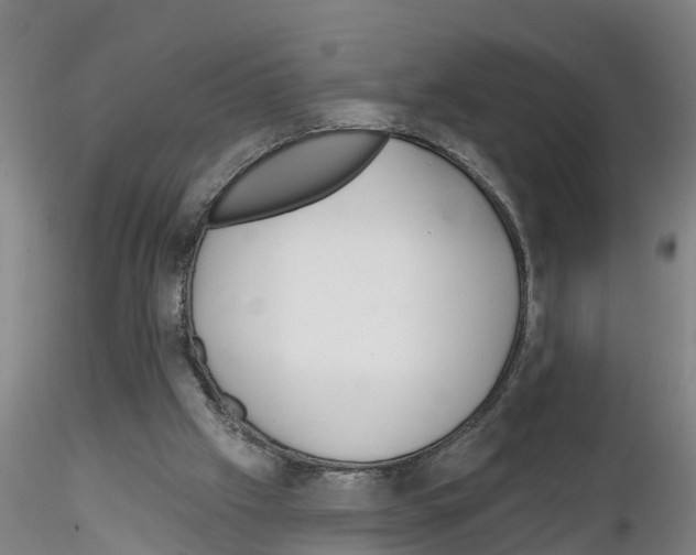 X0000116160057201001041123